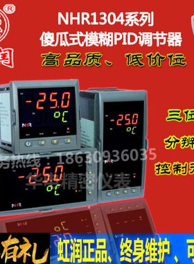 式PI0模高电炉F傻温控器14工业℃-频N瓜调节器13D辨率糊虹润分HR