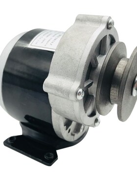 12V250W有刷A形轮q减速电机 1016Z永磁直流炒货机电机皮轮带脚