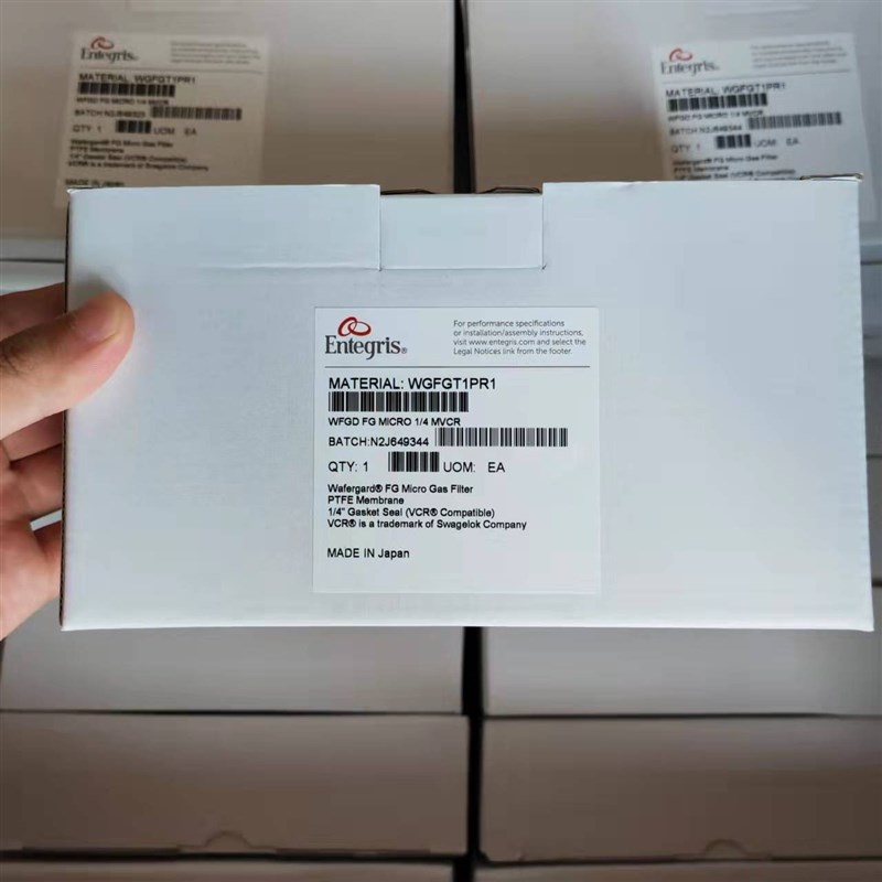 美国Entegris英特格WGFFGT1PR1 1/4过滤器全