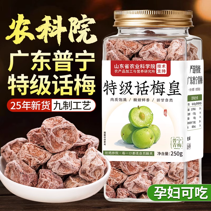 特级话梅正宗九制话梅皇老字号大零食干酸孕妇零食洱宝办公室零食