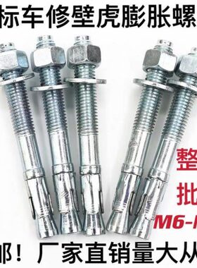 国标高强度车修壁虎膨胀螺丝车修拉爆电梯专用膨胀螺栓M6-M24加长