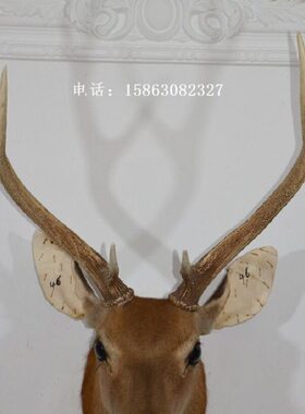 大号招财鹿头标本壁挂壁饰46北欧风格装饰品动物摆件生财有鹿墙饰