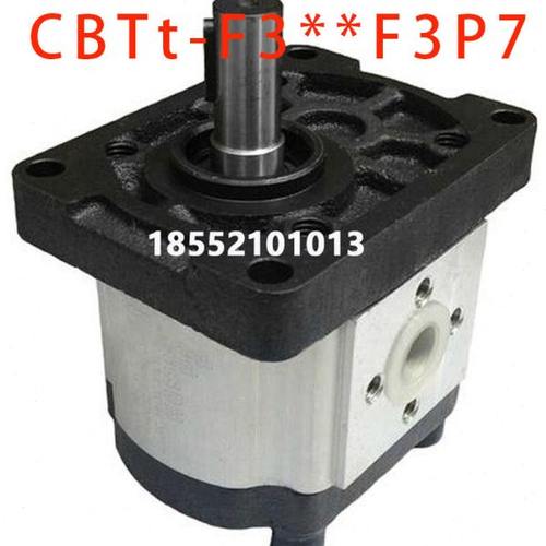 CBTt-F310F3P7 CBTt-F306F3P7 F304 CBTt-F314 F316 F320齿轮油泵