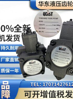 VVP20B/55秦川机床QCIST叶片泵VVP30B/70 VVP40B/35 VVP20B/70/35