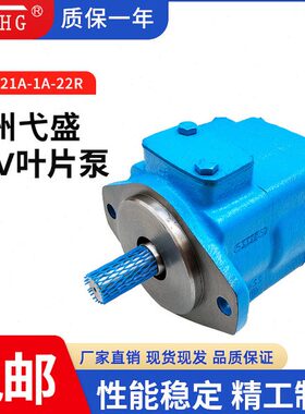 /B251量CD/油泵/1A2115-/1922-/7叶片泵/A25//V打包机10/14R定-12