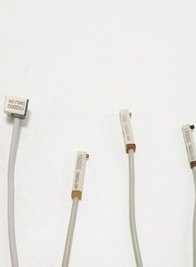 S感应开关-CM SJCM0-磁性开关02020020-S20G-CM 亚德客 型HCMSE0