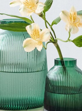 胖东来北欧绿色竖条纹透明玻璃A花瓶 客厅鲜花水培花器装饰摆件