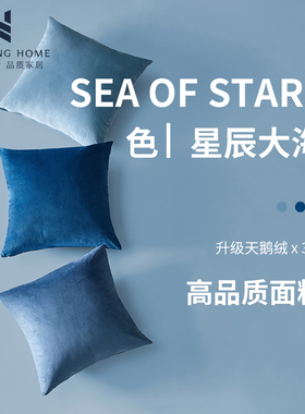 抱枕沙发客厅靠枕床头靠垫大抱枕套不含芯天鹅绒T轻奢简约蓝色靠