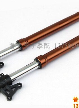 蓝宝龙 适用龙QJ150-17A/19A/19C前减震器 前叉 前避震