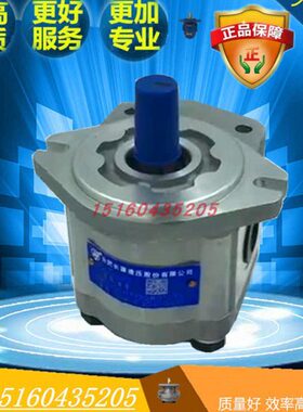 合肥长源齿轮油泵CBW-F314/F316/F320-ALB/AFB/CLB/CFB/ALBL/CFBL