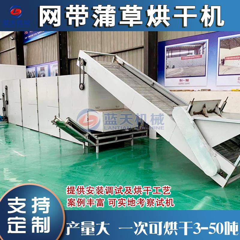 网带蒲草烘干机 全自动香蒲水烛烧颗粒烘干设备 蒲苇蒲黄烘干设备