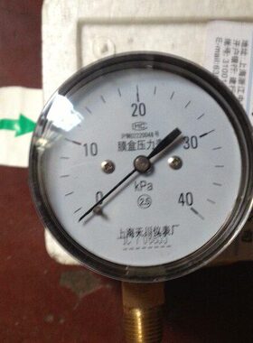 上海天川仪表YE60/YE100膜盒压力表0-40KPA微压表煤气燃气表
