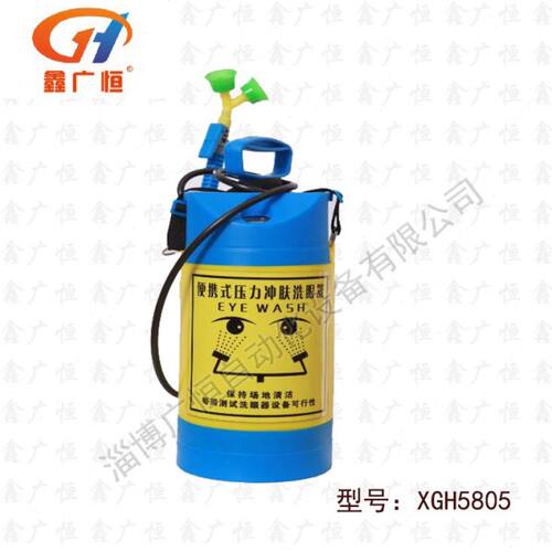 验厂洗眼器 5L便携式压力洗眼器 便携双口洗眼器 移动式洗眼器
