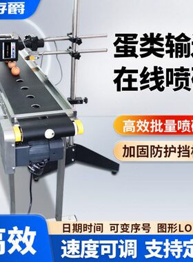 存爵可调速鸡蛋输送台流水线全自动喷码机手持小型生产日期印字LO
