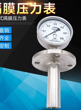 探入式隔膜压力表Y-100BF/MF5 抗震隔膜压力表法兰式不锈钢压力表