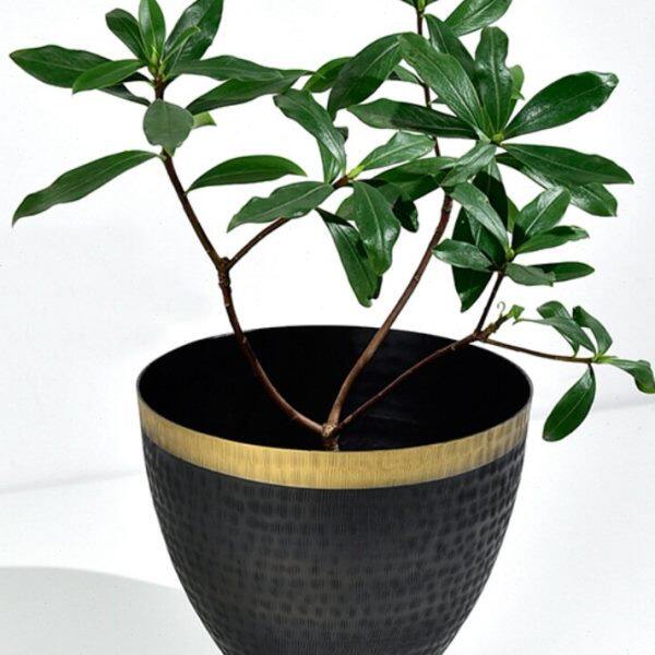 印度进口 黑金色锥形金属花盆装饰套盆酒店样板房别墅软装摆件