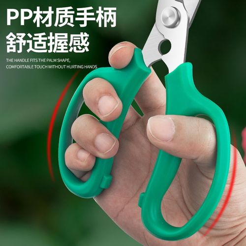 花剪园艺修枝剪花艺师插花专用剪刀花店玫瑰打刺器园林剪剪枝修花