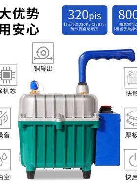 台益斯汽车专用打压泵 汽车空调加氟冷媒表抽打两用真空泵