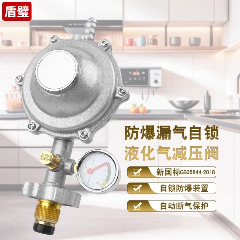 防爆减压阀液化气安全关闭阀低压阀燃气煤气阀新国标家用排气单向