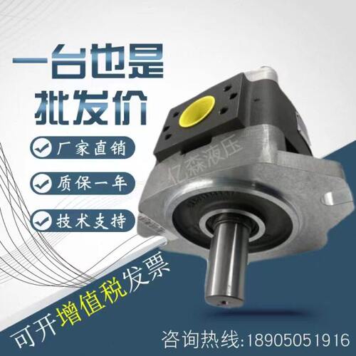 福伊特VOITH齿轮泵IPVP5-32/40/50/64 IPV6-80-101 100 IPV7-125