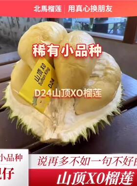 北马榴[液氮]稀有靓仔小品种D24系列山顶X0榴莲花香与酒香并存