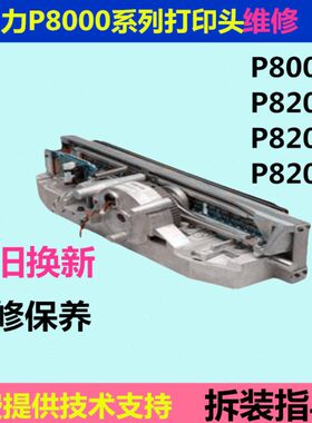 普印力P8000H打印头P8203HP8003HP8206HP8208H打印头打印锤维修