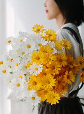 5头荷兰菊小雏菊波斯菊仿真花绢花小野菊假花雏菊摆设婚庆