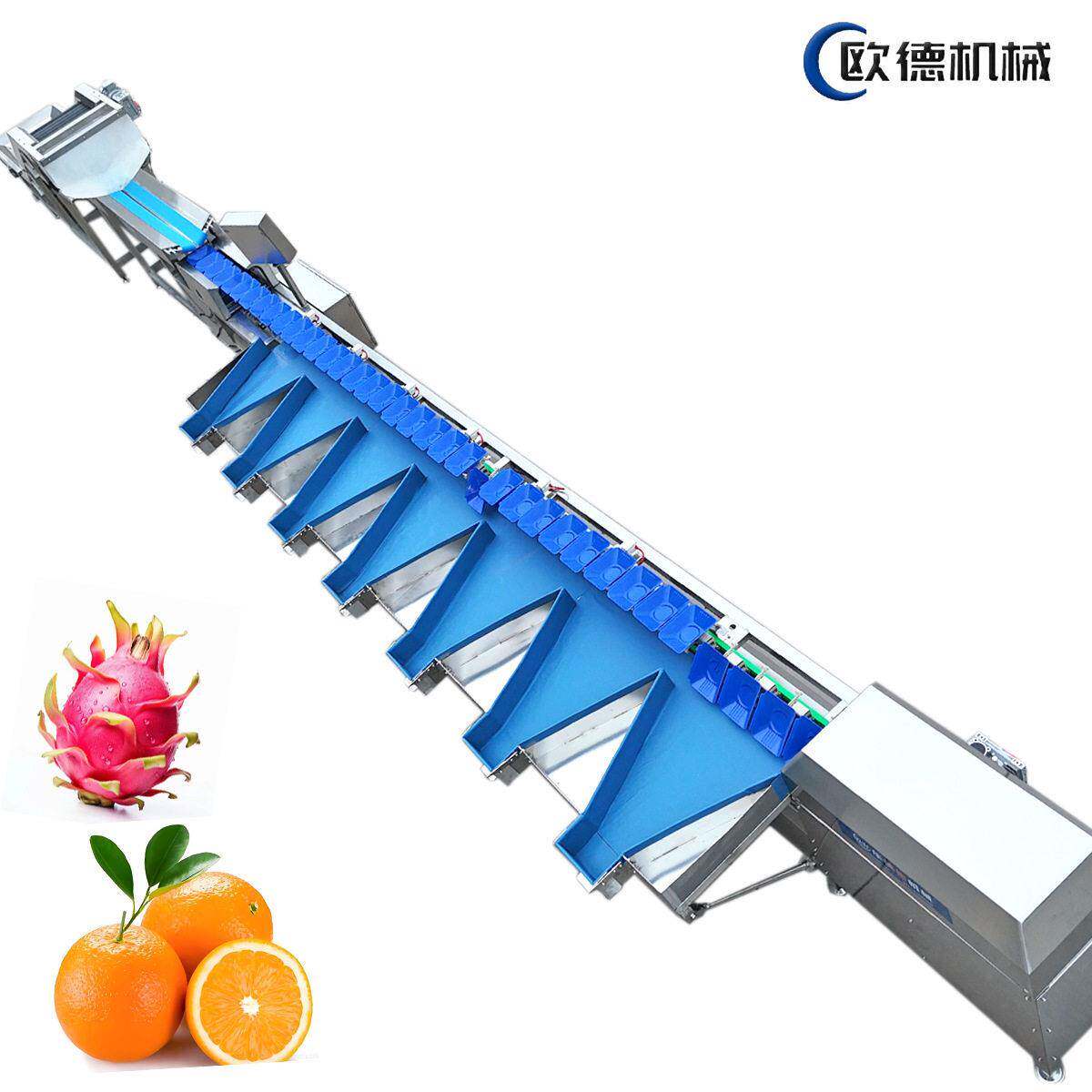李子分选机布朗柠檬芭乐称重分级机自动上料操作简一机多用