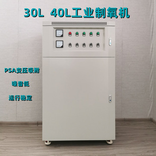 30L40L水产养殖制氧机氧气发生器室内增氧高原补氧焊接助燃纯氧机