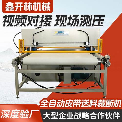厂家供应精密四柱裁断机全自动皮带送料裁断机面膜卷材下料机