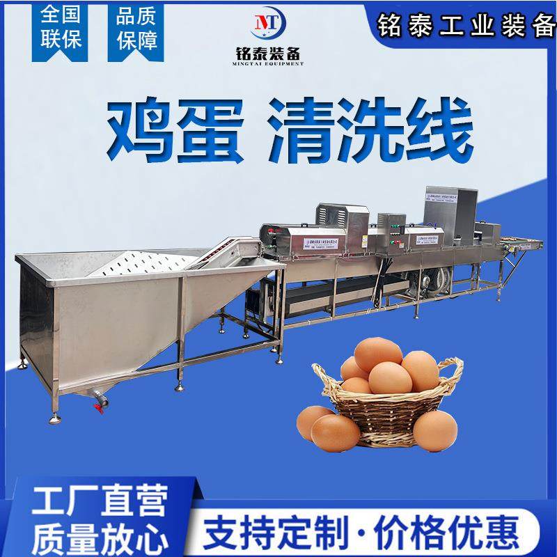 中小型自动洗蛋机304不锈钢蛋品加工成套设备鸡蛋清洗风干喷油,清洗/食品/商业设备,其他食品加工设备,淘宝优惠券,粉丝福利购,淘宝优惠卷