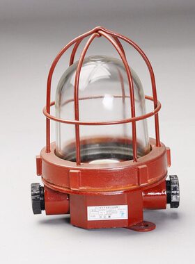 上海亮舟 船用白炽舱顶灯CCD9-2-2 水密甲板灯220V60W CCD9-3-2