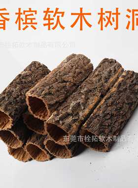 爬宠造景香槟树洞躲避屋守宫砂躲避巨人鬃狮睫角豹躲避造景屋树桶