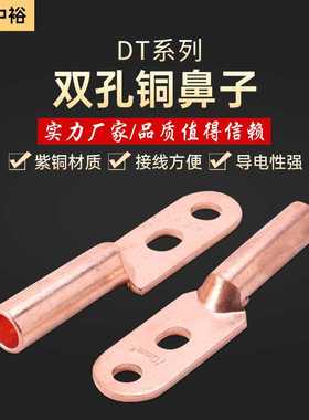 直销铜鼻子铜管接线端子双孔铜鼻子DTGS-500双孔铜接线端子