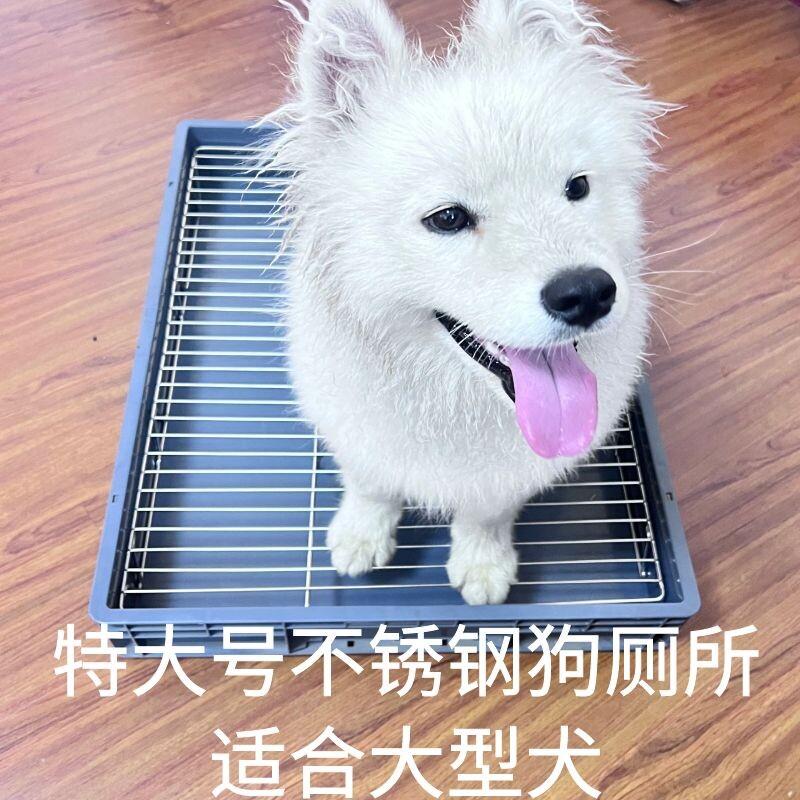定制大型犬狗厕所加高304不锈钢厕所架子防吃屎狗便盆不湿脚尿盆