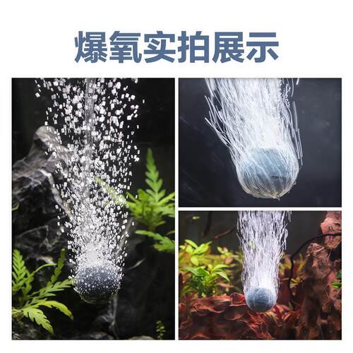 高温烧结氧气泡石气盘增氧爆气圆球形沙头鱼缸用品养鱼用水泵气泵