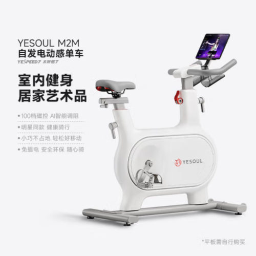 YESOUL野小兽动感单车小型静音健身器材室内运动健身车M2M