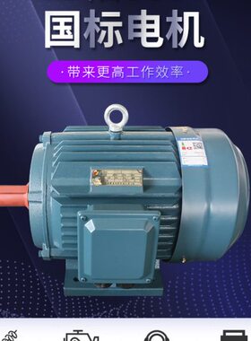 三/1E01.52/38.全铜4极Y2.8/EW相异步0/Y3/2752.KV/~/4506/H1电机