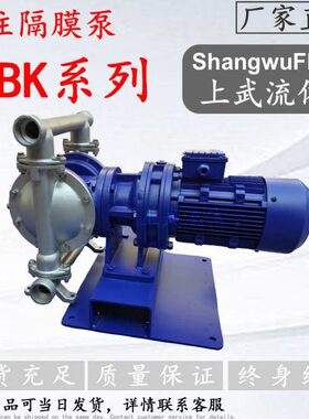 D型K型电动BD30BY隔膜泵4隔膜泵不锈钢电动耐腐蚀双