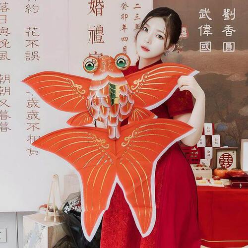 拍摄背景布结婚金鱼摆婚房火龙果拍照道具风筝婚礼晨袍置拍新中式