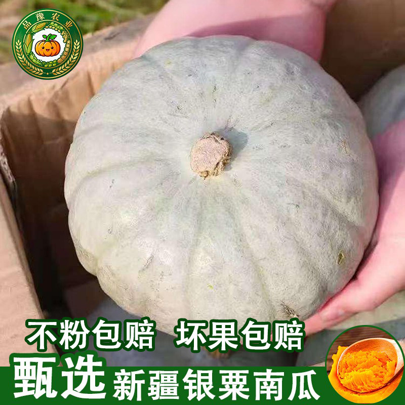 正宗新疆银栗南瓜板栗味粉糯香甜沙漠老南瓜当季蔬菜孕妇宝宝辅食