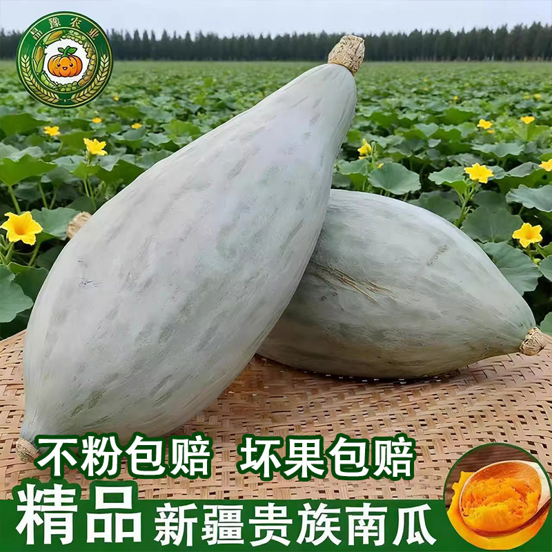 正宗新疆贵族南瓜【产地甄选】