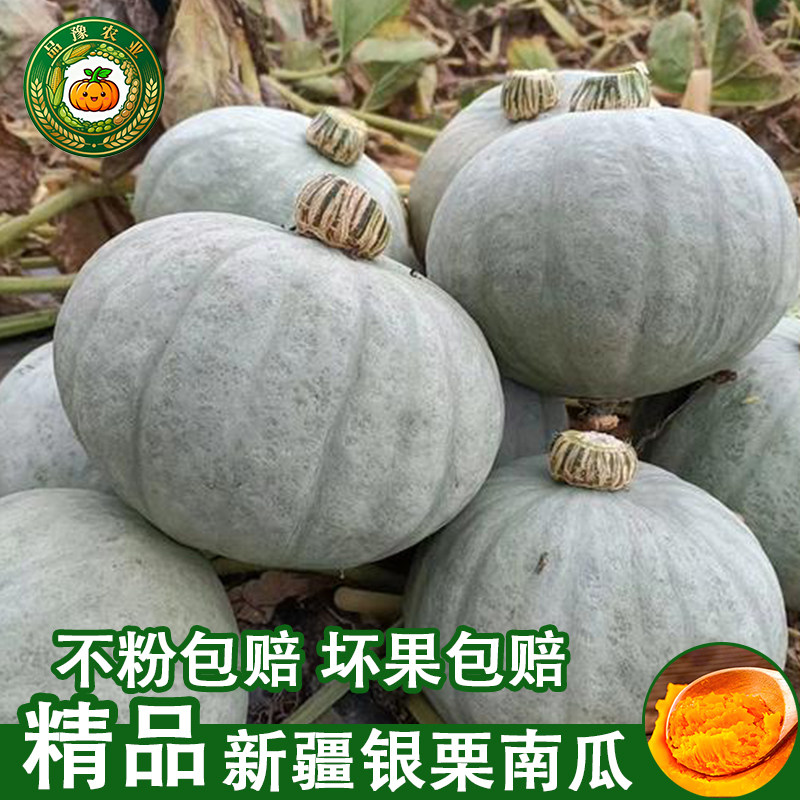 【产地甄选】正宗新疆银栗南瓜