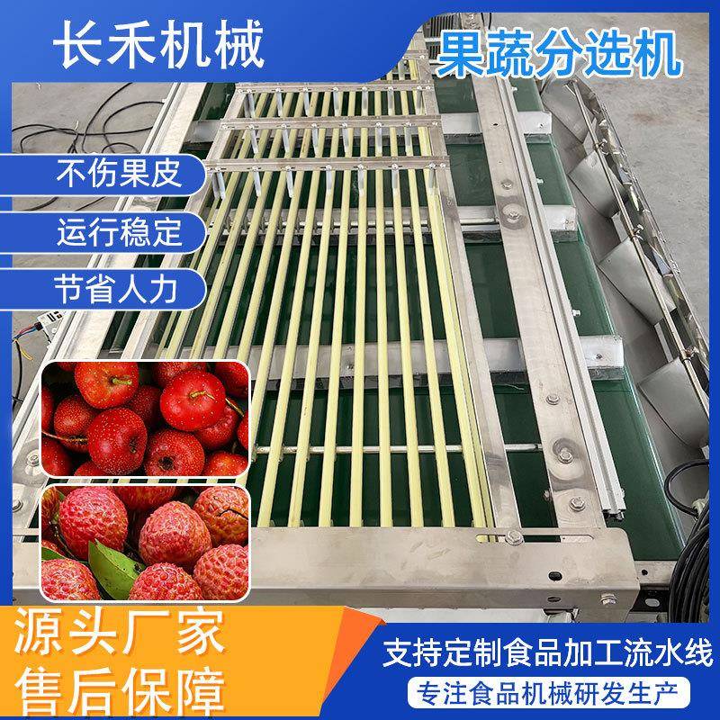 百香果选果机李子商用全自动分拣机大枣圣女果筛选设备