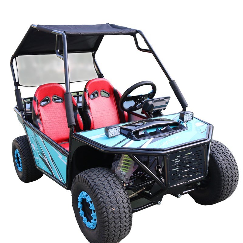 电动亲子款卡丁车双人越野卡丁车1000w成人UTV四轮全地形沙滩车