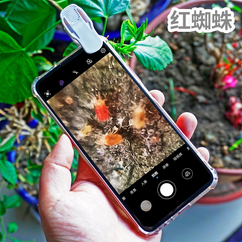 手机放大镜看农业病虫害月季草莓蓟马红知蛛螨虫100倍高清显微镜