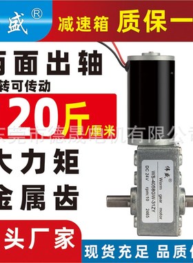 4058GW31ZY双出轴涡轮蜗杆减速电机12V24V正反转直流齿轮减速马达