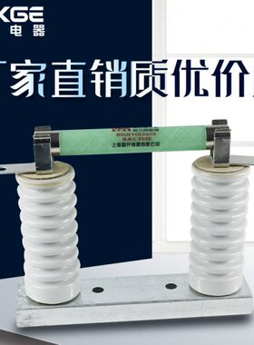 限流熔断器 XRNP-40.5/0.5-3.15A φ25*465 高分段能力熔断器