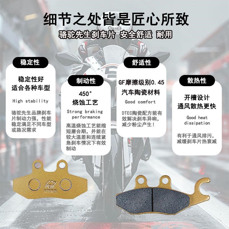 适用于阿普利亚SRMAX300 250 APR300T-V踏板摩托车刹车片GF级