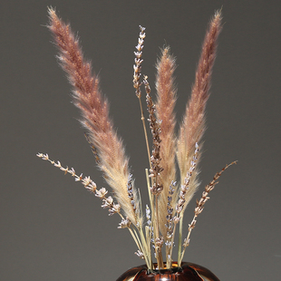 天然芦苇干e花花束风干永生花装饰花玻璃陶瓷花瓶插花摄影道具摆